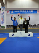 제95회 전국 체육대회
