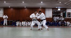 호신술 시범